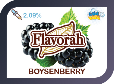 Flavorah Boysenberry ароматизатор (Ожиномалина)