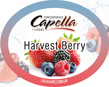 Capella Harvest Berry ароматизатор (Лісові ягоди)