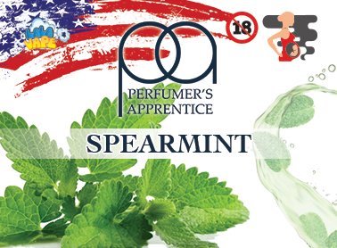 TPA Spearmint ароматизатор (М'ята колосиста)