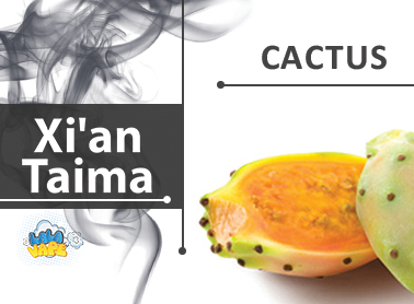 Xi'an Taima Cactus ароматизатор (Кактус)
