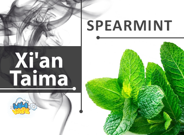 Xi'an Taima Spearmint ароматизатор (М'ята)